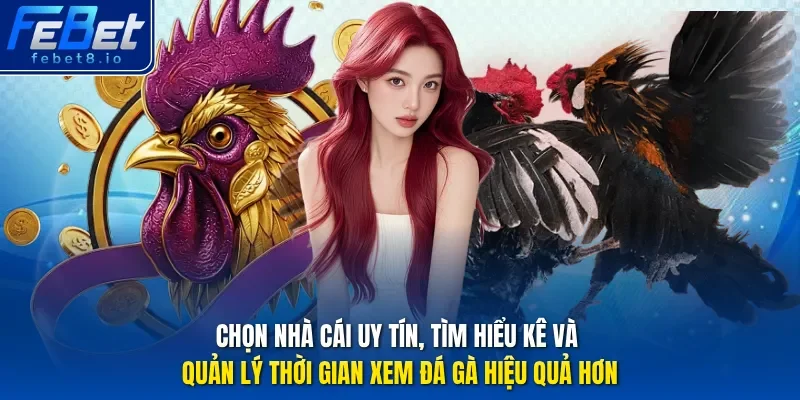 Chọn nhà cái uy tín, tìm hiểu kê và quản lý thời gian xem đá gà hiệu quả hơn.
