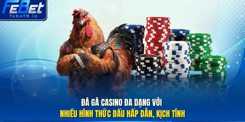 Đá gà casino đa dạng với nhiều hình thức đấu hấp dẫn, kịch tính. 