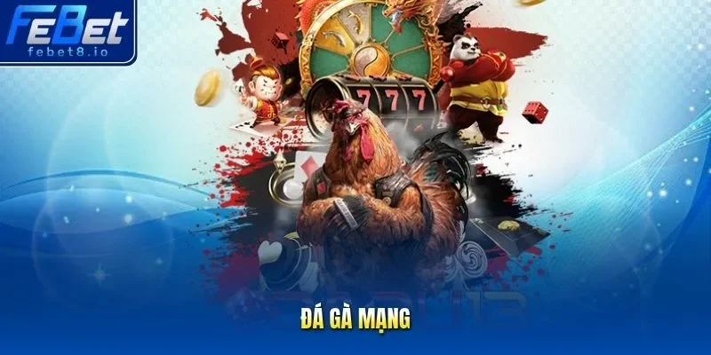 đá gà mạng