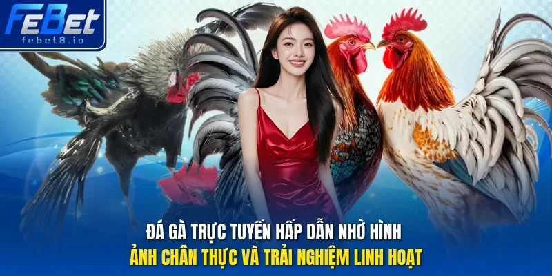 Đá gà trực tuyến hấp dẫn nhờ hình ảnh chân thực và trải nghiệm linh hoạt. 