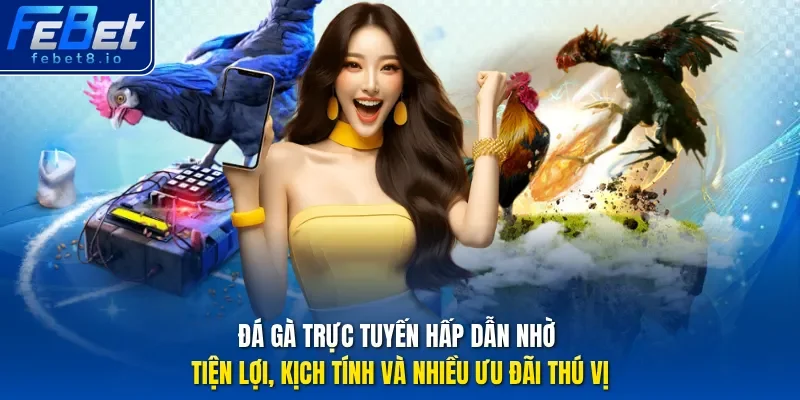 Đá gà trực tuyến hấp dẫn nhờ tiện lợi, kịch tính và nhiều ưu đãi thú vị.