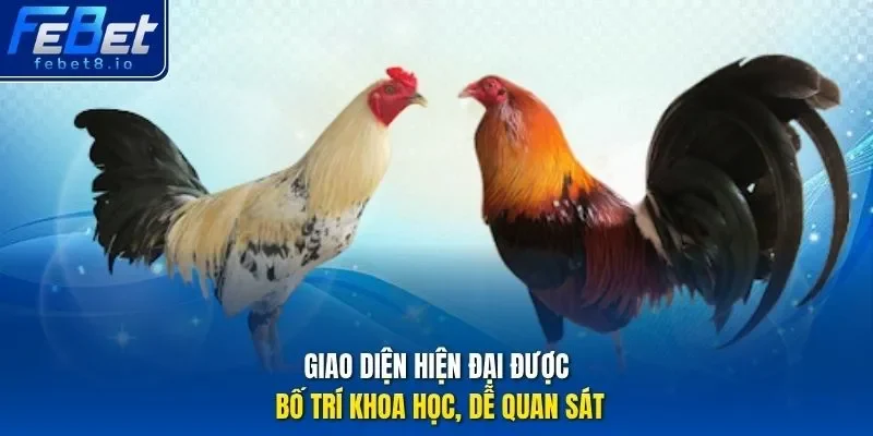 Giao diện hiện đại được bố trí khoa học, dễ quan sát.