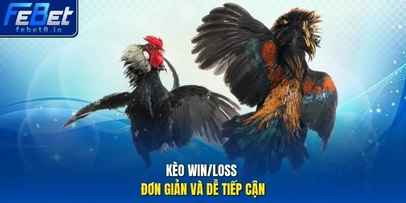 Kèo win/loss đơn giản và dễ tiếp cận.