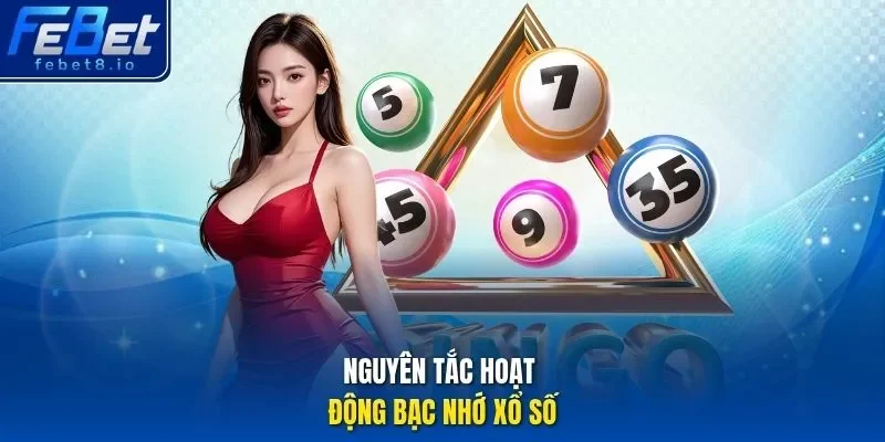Nguyên tắc hoạt động bạc nhớ xổ số