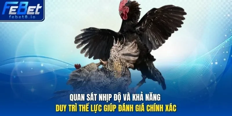 Quan sát nhịp độ và khả năng duy trì thể lực giúp đánh giá chính xác.