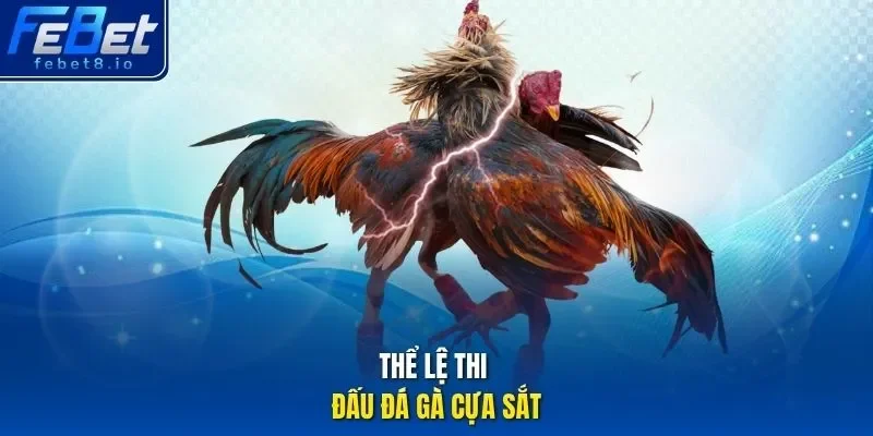 Thể lệ thi đấu đá gà cựa sắt
